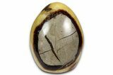 Free-Standing, Polished Septarian - Madagascar #349898-1